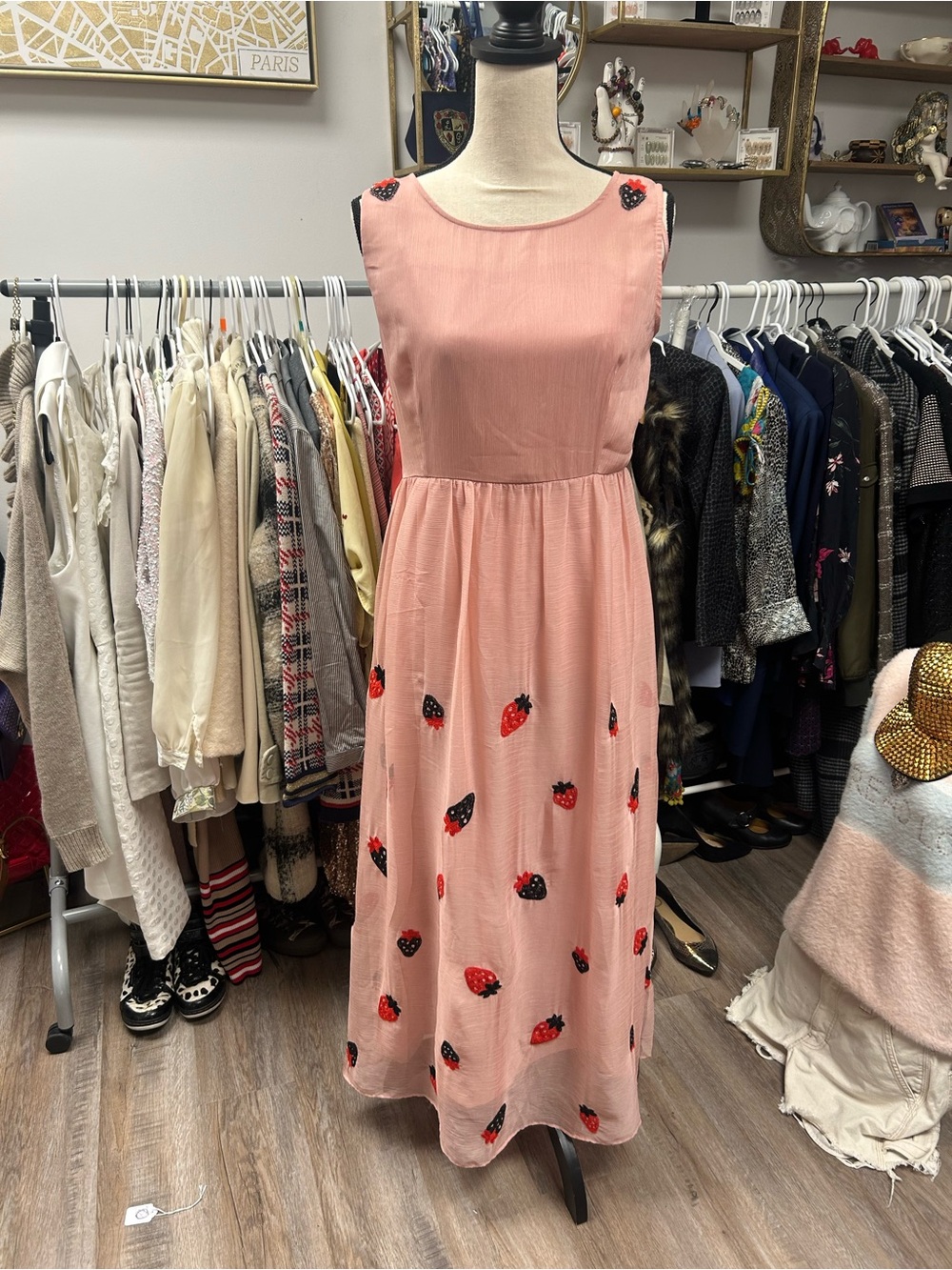 Long Strawberry Dress
